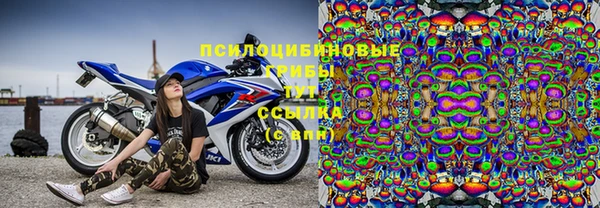 a pvp Магадан