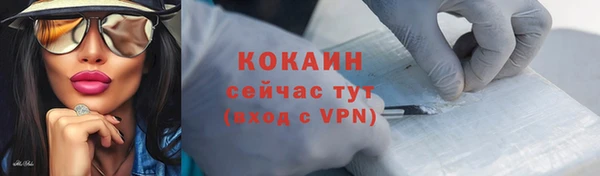 твердый Майский
