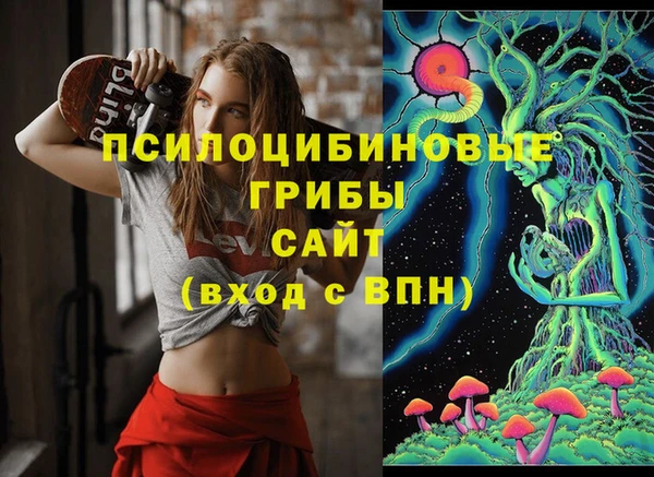 твердый Майский