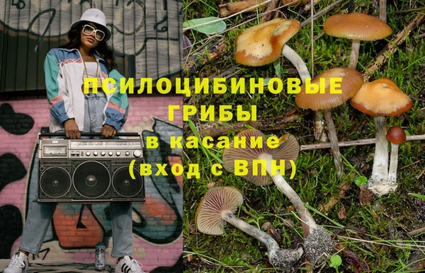 твердый Майский